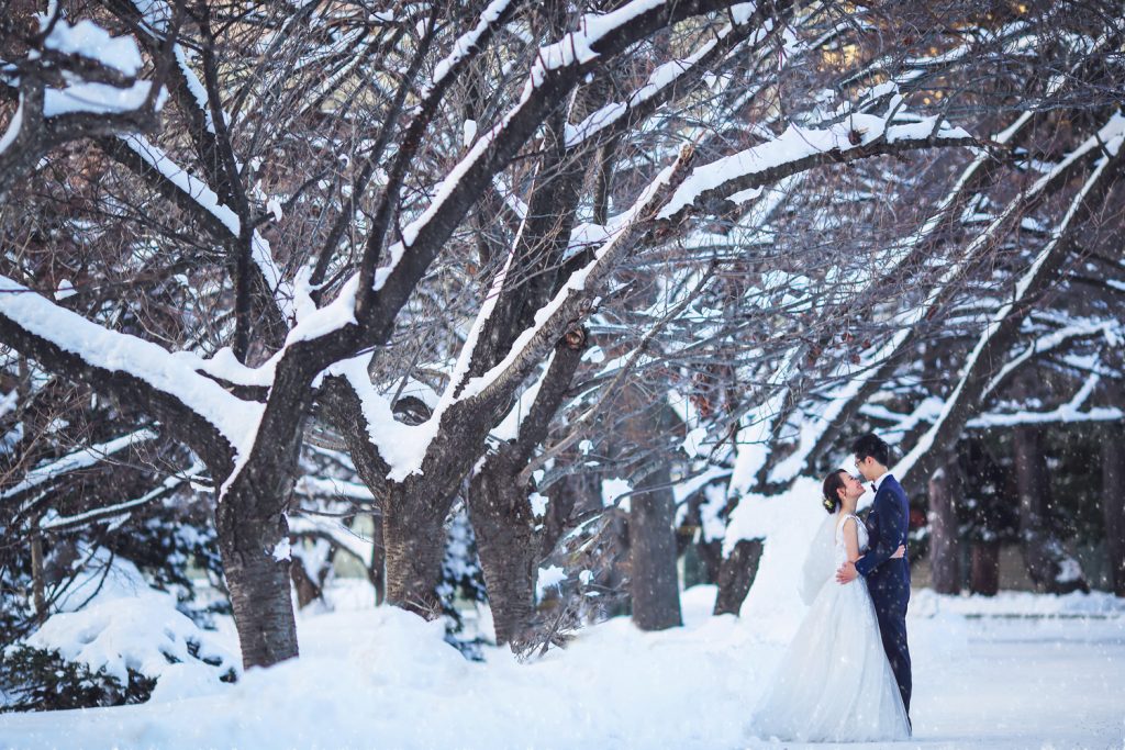 hokkaido winter pre wedding
